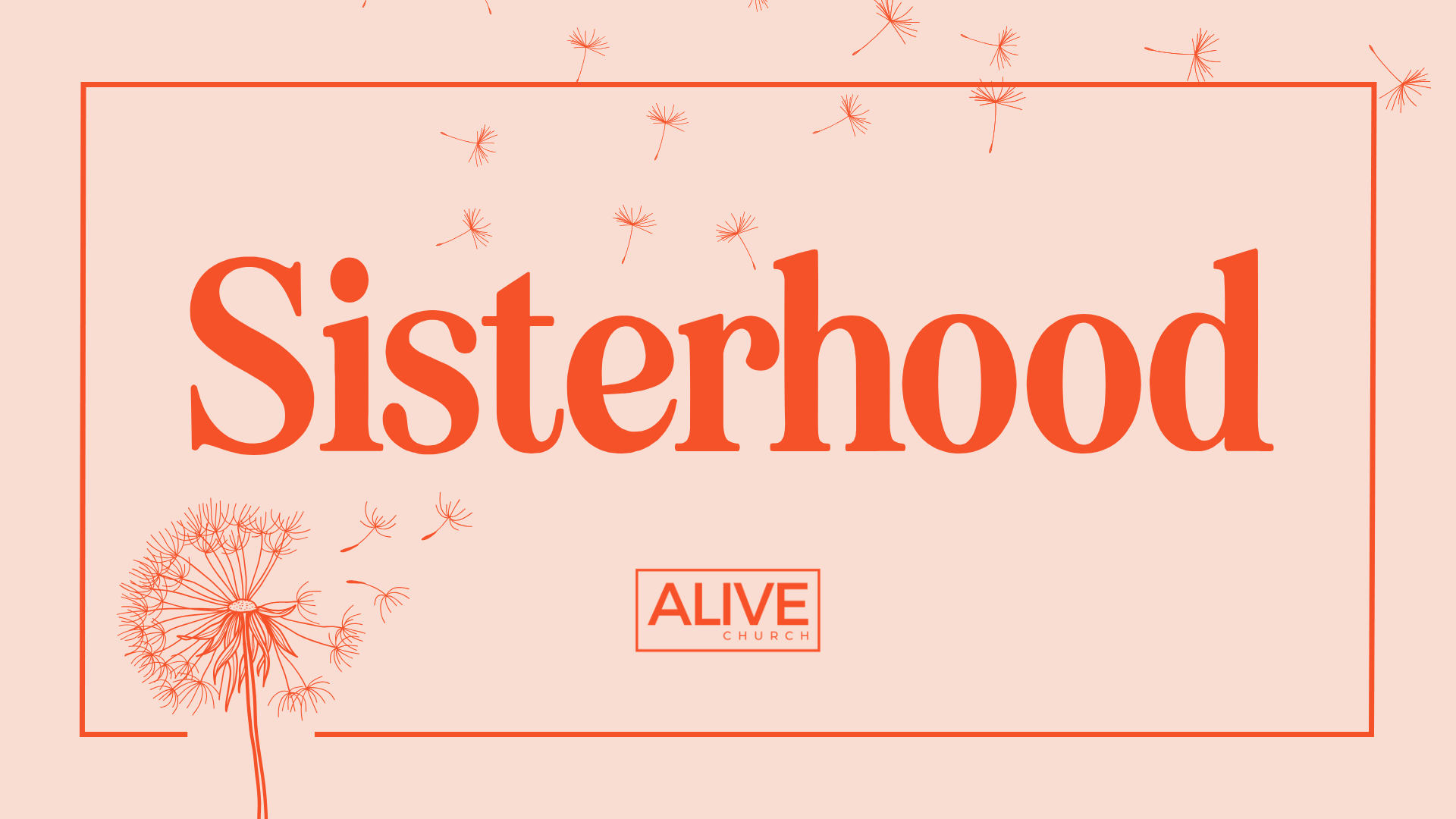 Sisterhood Spring 2026